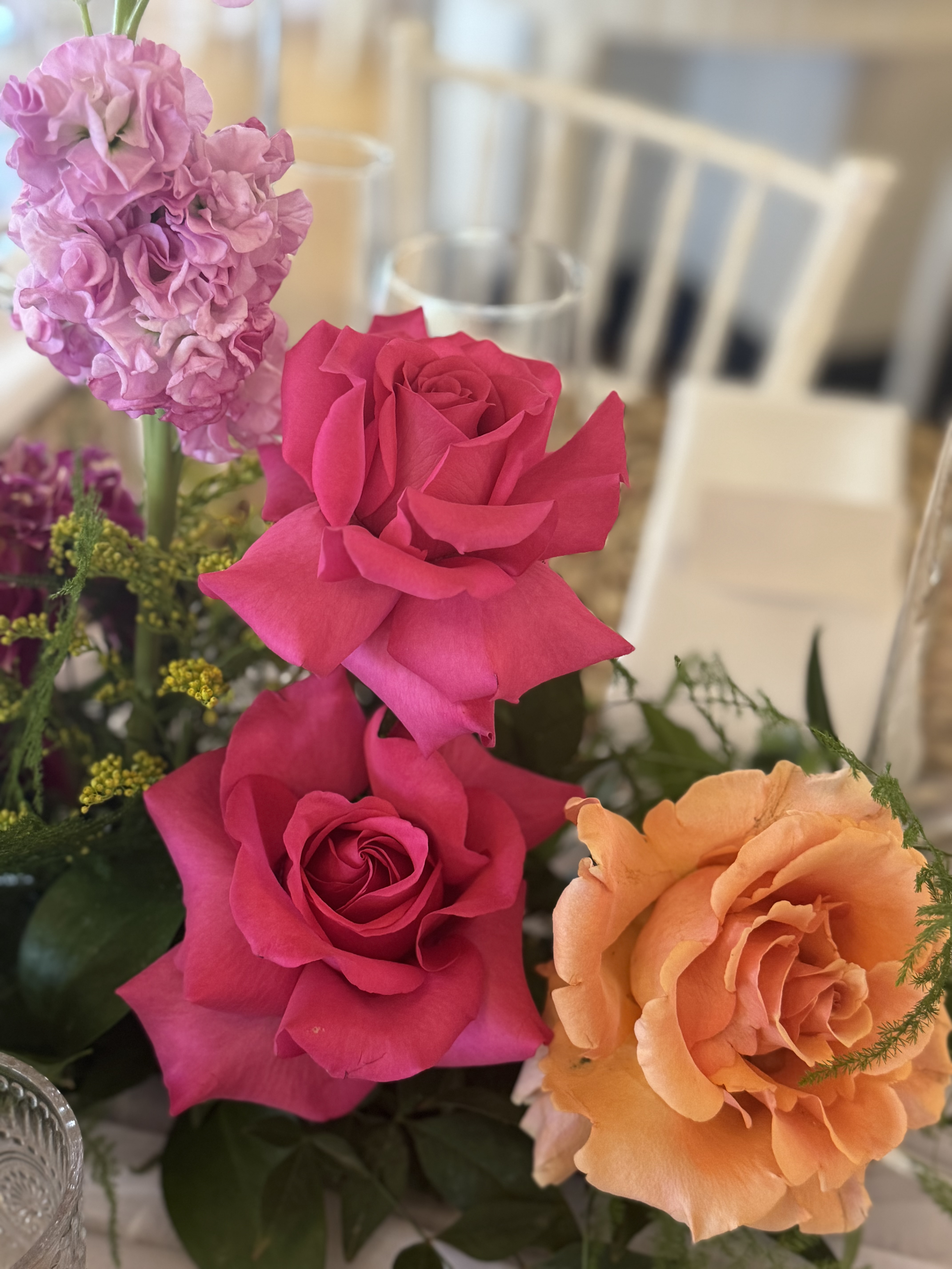 Roses — beauty and fragility